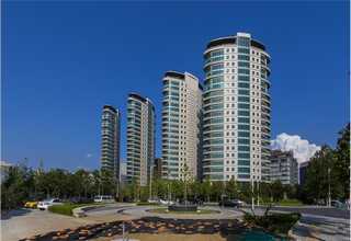 江川区高价食用菌市面价